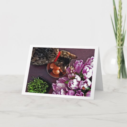 卵のボール。 スナップショット4 シーズンカード (正面)