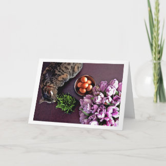 卵のボール。 スナップショット5 シーズンカード