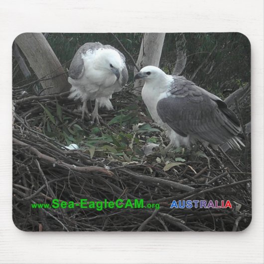 卵のマウスパッド横の02を賞賛しているミイラ及びパパ マウスパッド (正面)