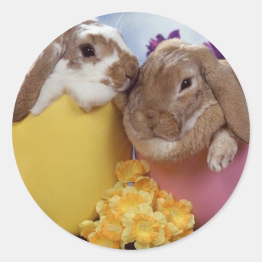卵の中のかわいいイースターバニー ラウンドシール (正面)