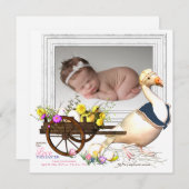 卵の写真の誕生の発表を用いるガチョウ 招待状 (正面/裏面)