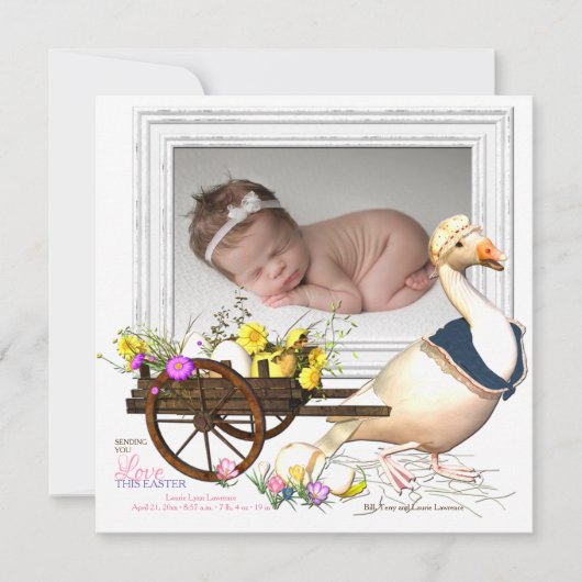 卵の写真の誕生の発表を用いるガチョウ 招待状 (正面)