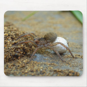 卵の嚢のマウスのマットを持つドクグモ マウスパッド