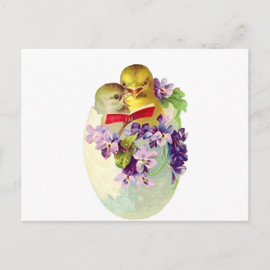 卵の殻の2羽のひよこはソングブックから歌います ポストカード (正面)