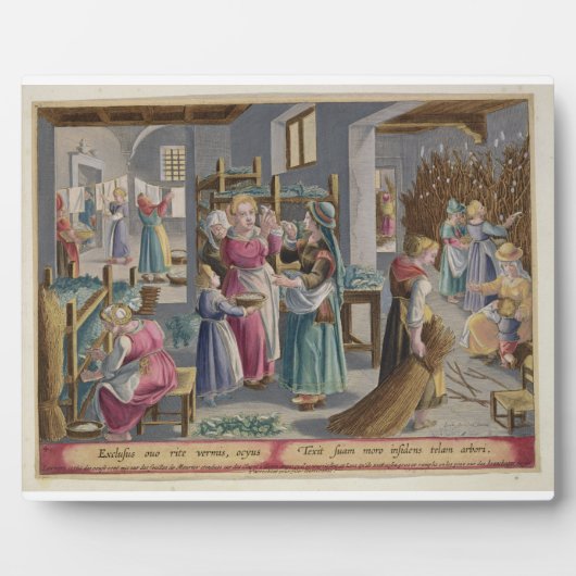 卵は正に虫に孵化し、彼らは覆われている フォトプラーク (正面)