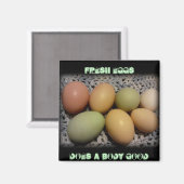 卵は磁石が体する マグネット (正面/裏面)