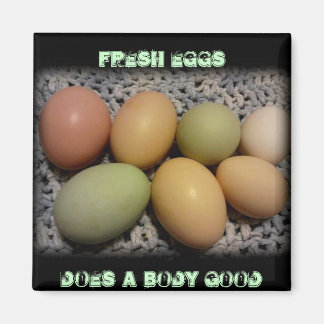 卵は磁石が体する マグネット