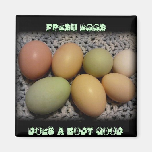 卵は磁石が体する マグネット (正面)