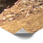 卵をガチョウ ポスター (角)