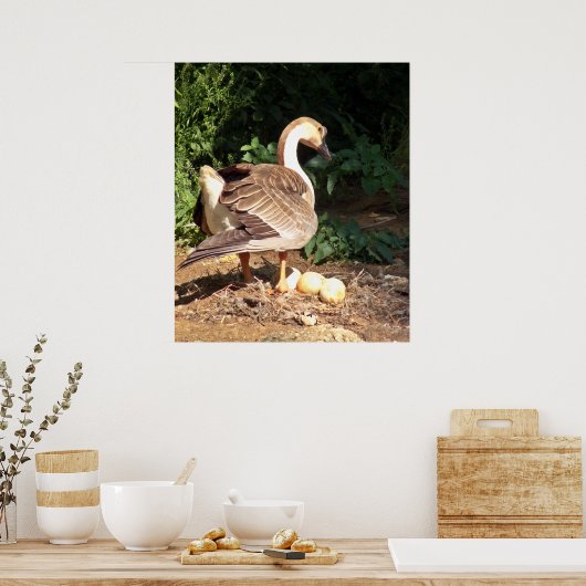 卵をガチョウ ポスター (キッチン)