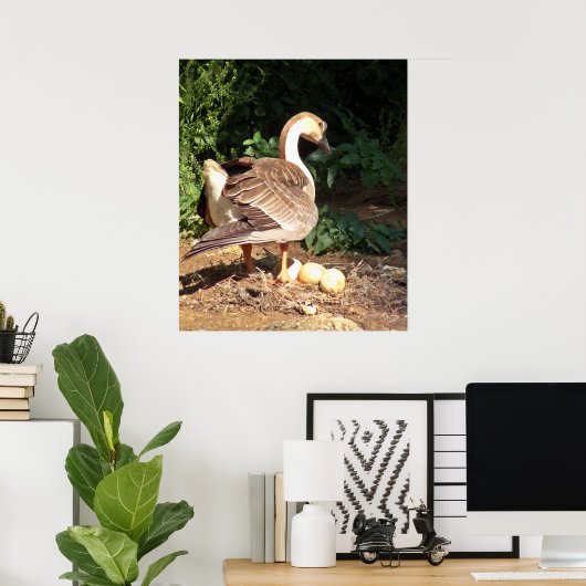 卵をガチョウ ポスター (ホームオフィス)