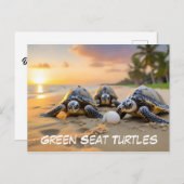 卵を割ったビーチに緑のウミガメ ポストカード (正面/裏面)