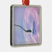 卵を肥やしている精液の拡大された一見 メタルオーナメント (右)