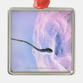 卵を肥やしている精液の拡大された一見 メタルオーナメント (正面)