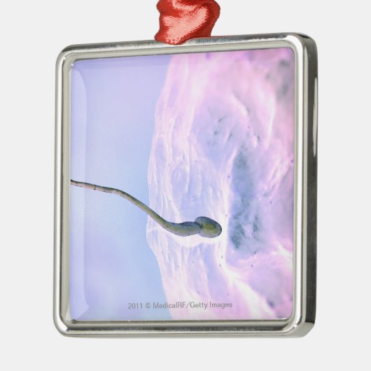 卵を肥やしている精液の拡大された一見 メタルオーナメント (左)