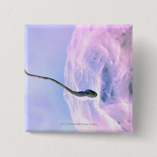 卵を肥やしている精液の拡大された一見 缶バッジ (正面)