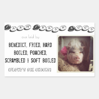 卵カートンのシール 長方形シール