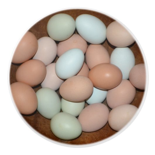 卵セラミックノブ セラミックノブ (正面)