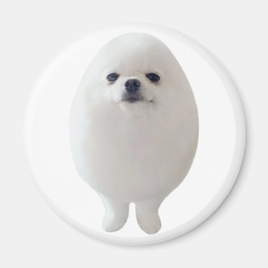 卵ドッグマグネット マグネット (正面)