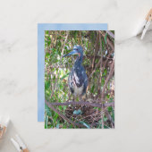 卵フラットカード付き3色ヘロン巣 カード (正面/裏面インサイチュ)