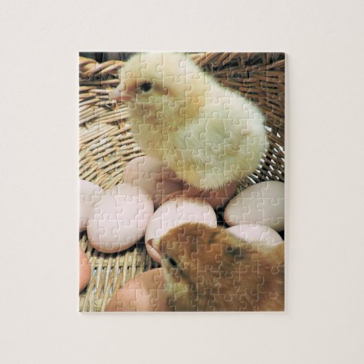 卵ベビーに入れた鶏が二羽 ジグソーパズル (縦)