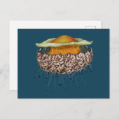 卵図解入りの、写真付きのクラゲのフライ ポストカード (正面/裏面)