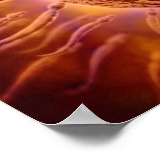 卵子に向かって泳ぐ精子の顕微鏡的見解2 ポスター (角)