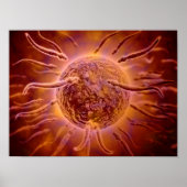 卵子に向かって泳ぐ精子の顕微鏡的見解2 ポスター (正面)