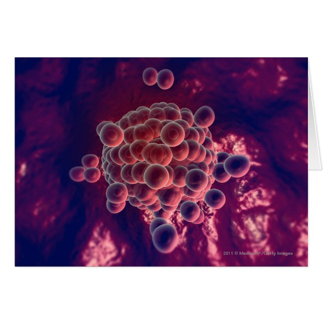 卵子の卵 (正面横)