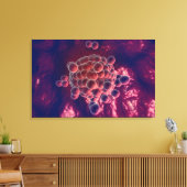 卵子の卵 キャンバスプリント (インサイチュ (リビング))