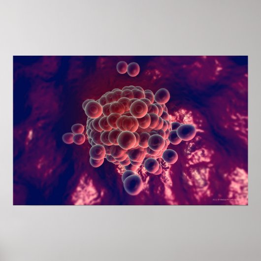 卵子の卵 ポスター (正面)