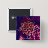 卵子の卵 缶バッジ (正面&裏面)