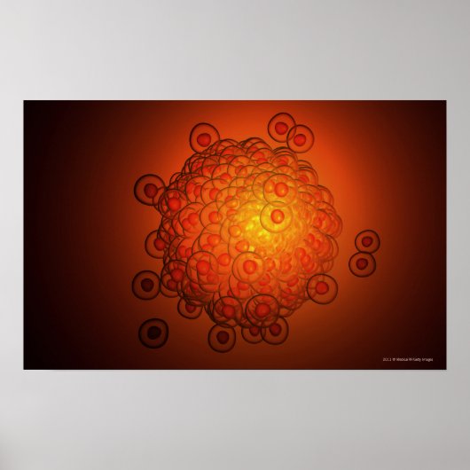 卵子を大きく見る ポスター (正面)