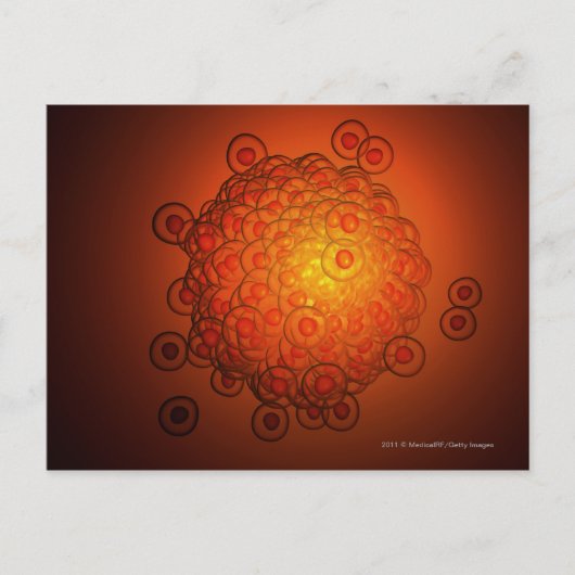 卵子を大きく見る ポストカード (正面)