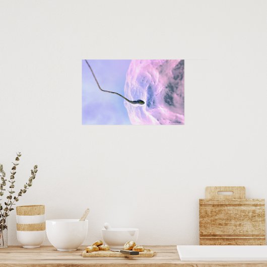 卵子を肥沃にする精子を拡大した様子 ポスター (キッチン)