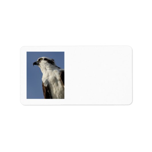 卵巣病ポートレート ラベル (正面)