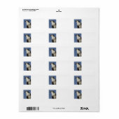 卵巣病ポートレート ラベル (フルシート)