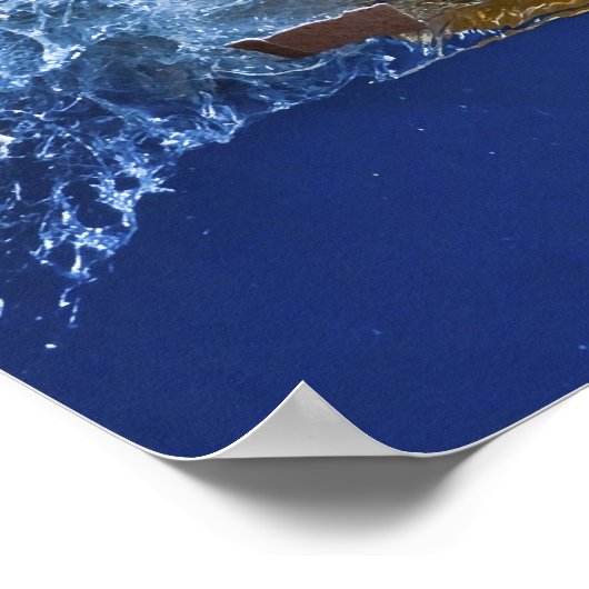 卵性の ポスター (角)