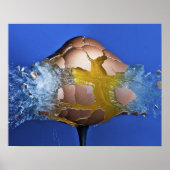 卵性の ポスター (正面)