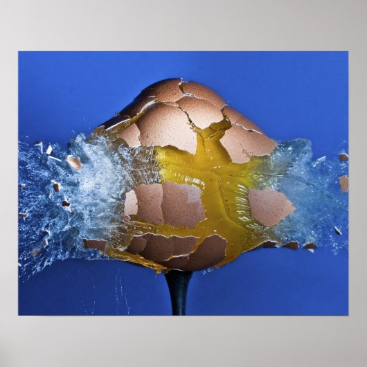 卵性の ポスター (正面)