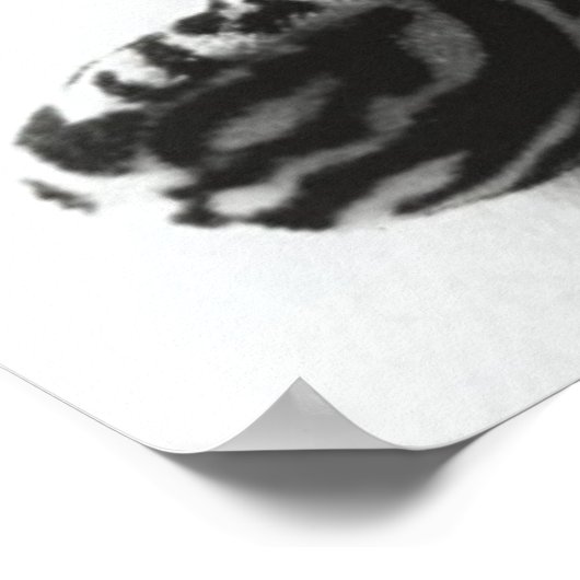 卵性の ポスター (角)