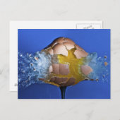 卵性の ポストカード (正面/裏面)