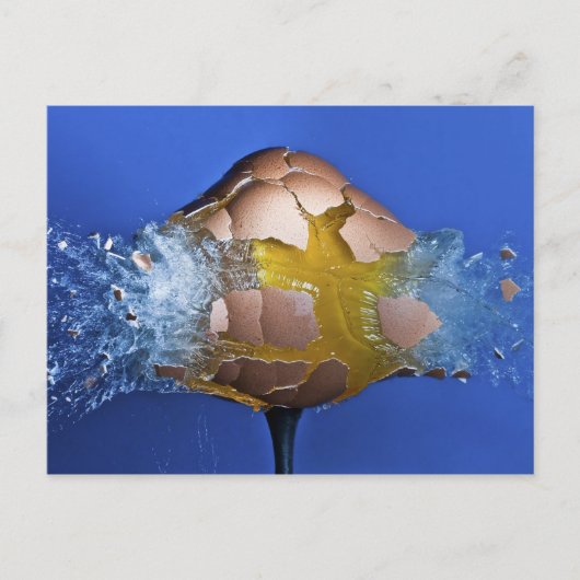 卵性の ポストカード (正面)