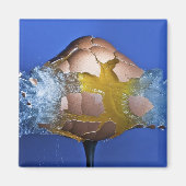 卵性の マグネット (正面)