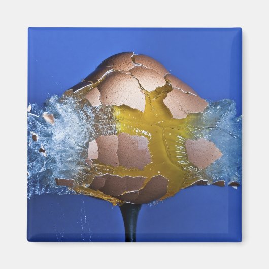 卵性の マグネット (正面)