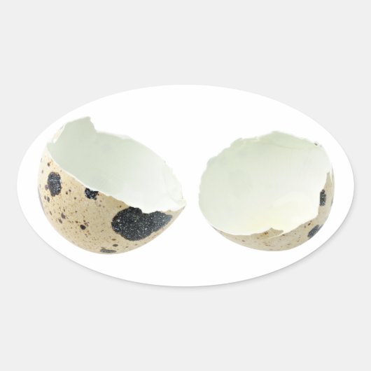卵殻の割れ 楕円形シール (正面)