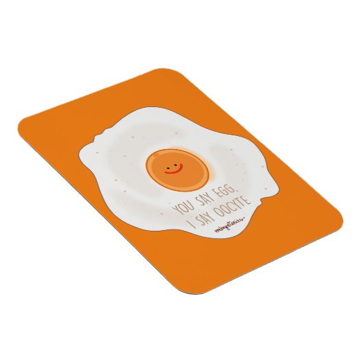 卵母細胞卵 マグネット (右側)