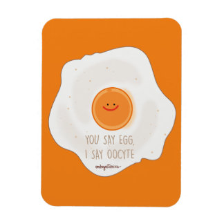 卵母細胞卵 マグネット