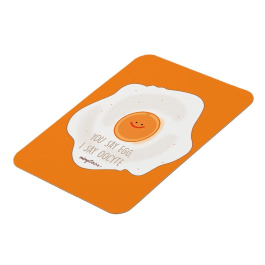 卵母細胞卵 マグネット (左側)