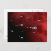 卵管内精子の概念像 ポストカード (正面/裏面)